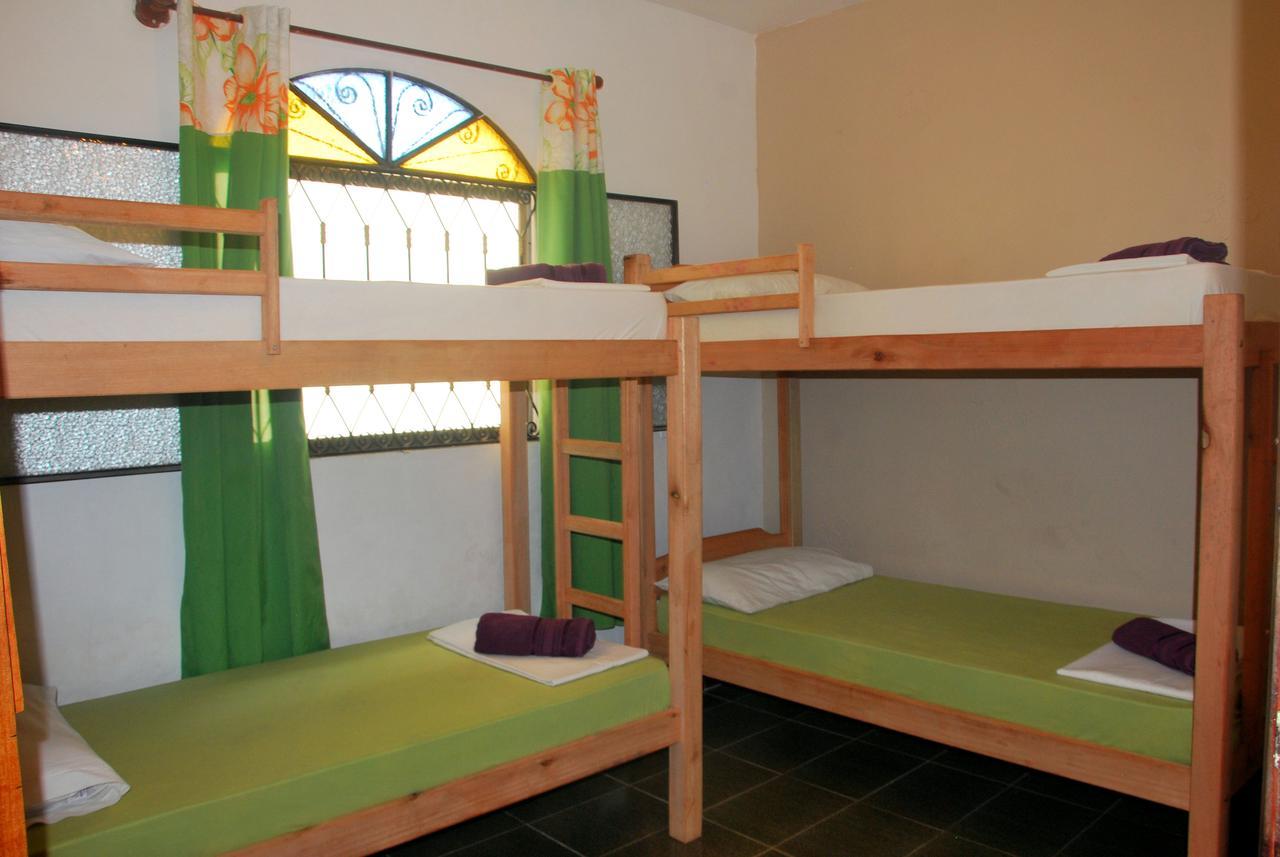 Nautilus Hostel Paraty Araquari Exterior photo